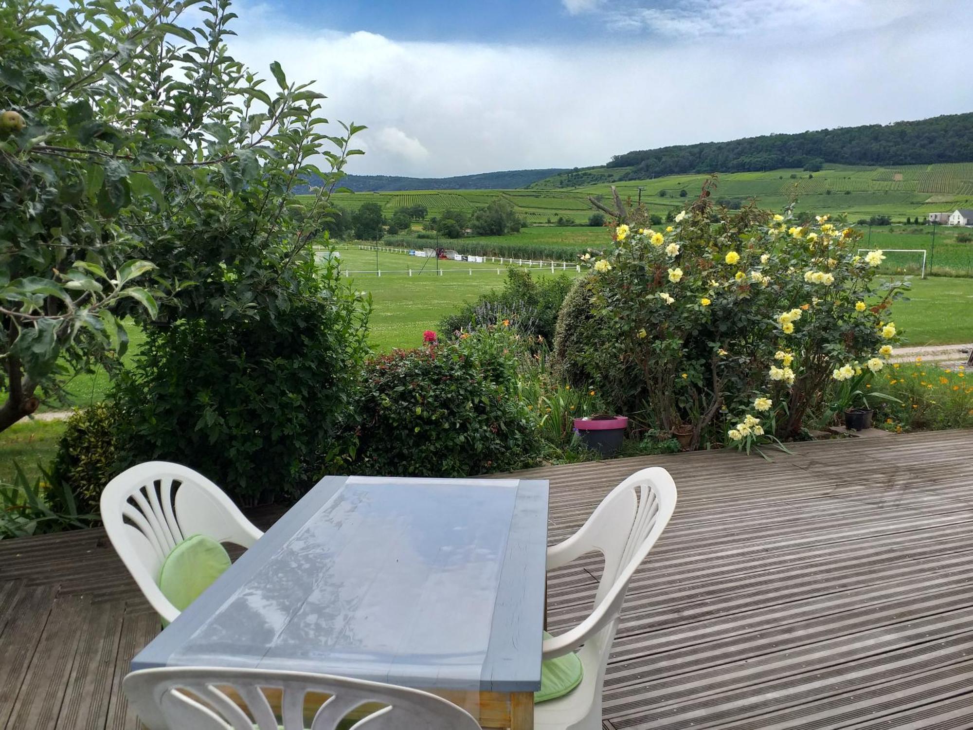 Gite Dans Vignoble Alsacien Westhalten Exterior foto